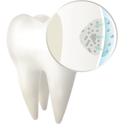 The formulation diffuses throughout the enamel.