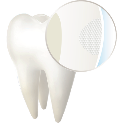 natural tooth structure